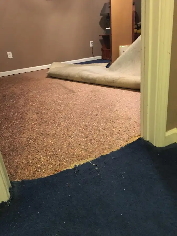 Carpet pad removal revealing water damage during Drying & Dehumidification in Medulla